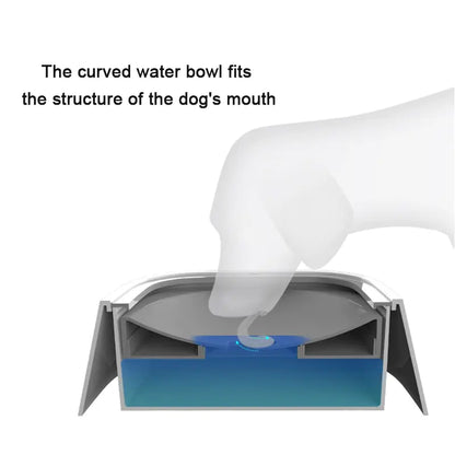 Pet Hydration Station: Anti-Splash Water Bowl