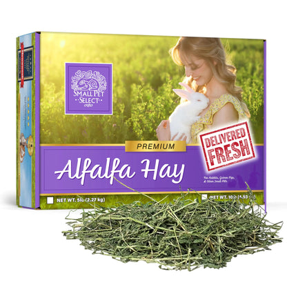 Small Pet Select Alfalfa Hay Pet Food for Young Rabbits Guinea Pigs Chinchillas Tortoises and Other Small Animals Easy to Store Box 5 LB