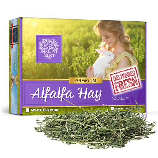 Alimento para mascotas de heno de alfalfa Small Pet Select para conejos jóvenes, cobayas, chinchillas, tortugas y otros animales pequeños, fácil de almacenar, caja de 5 lb