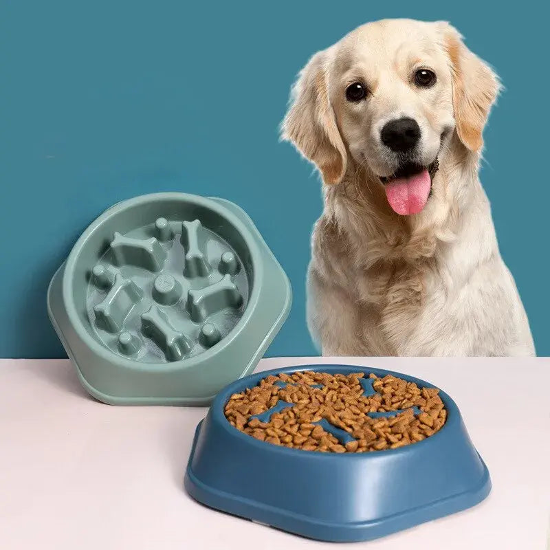 Healthy Pace Pet Bowl