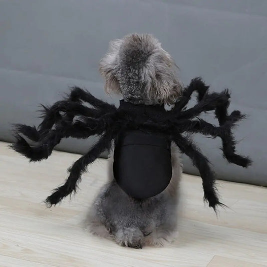 Disfraz de araña de Halloween para mascotas