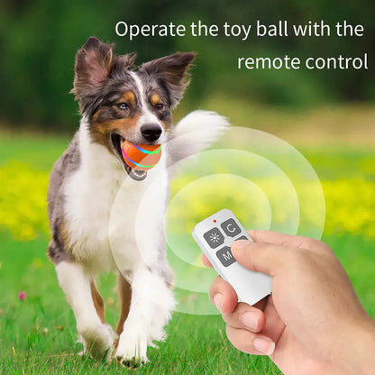 SmartPlay Interactive Pet Ball