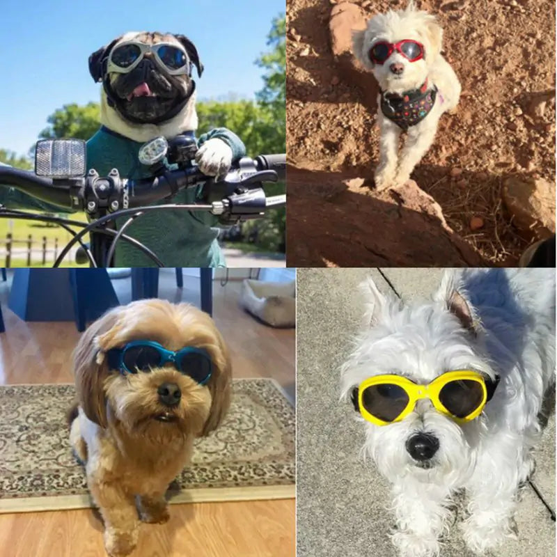 Dog Sunglasses ( Buy 2 and Get 100% Discount on the second one )