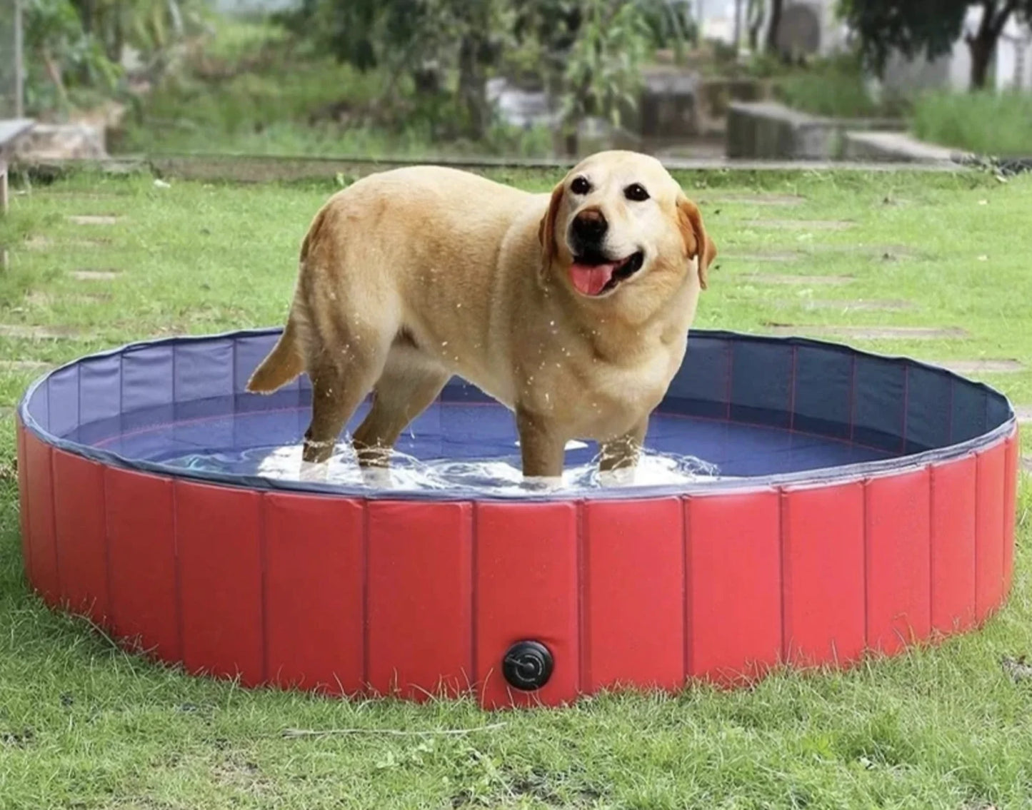 Piscina plegable para baño de mascotas