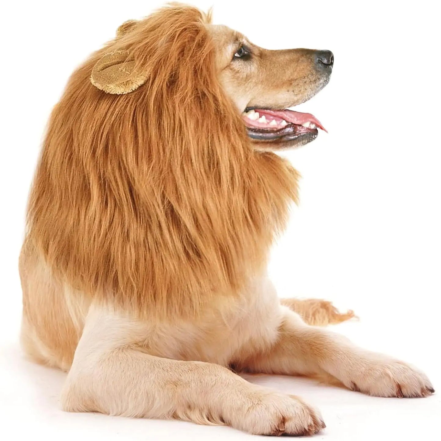 Majestic Dog Lion Costume - Adjustable Mane Wig