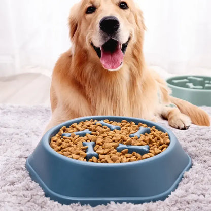 Healthy Pace Pet Bowl