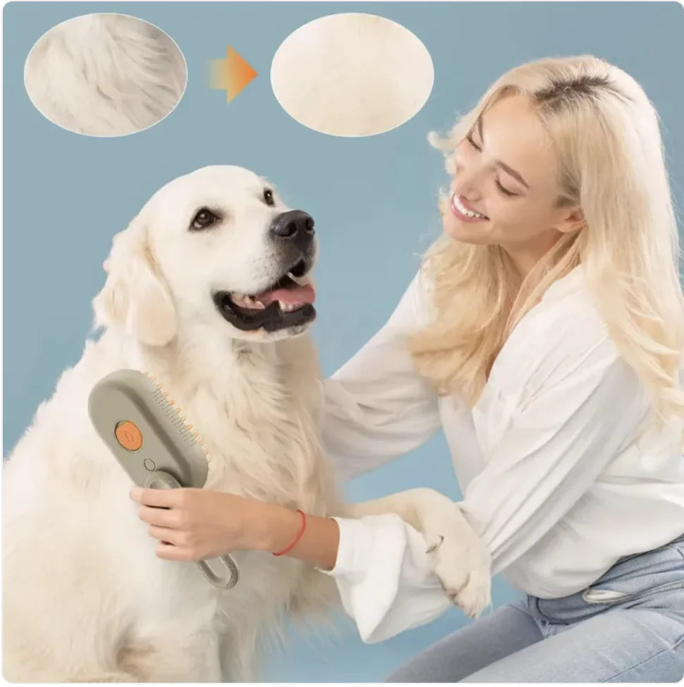 3-in-1 Steam Pet Brush