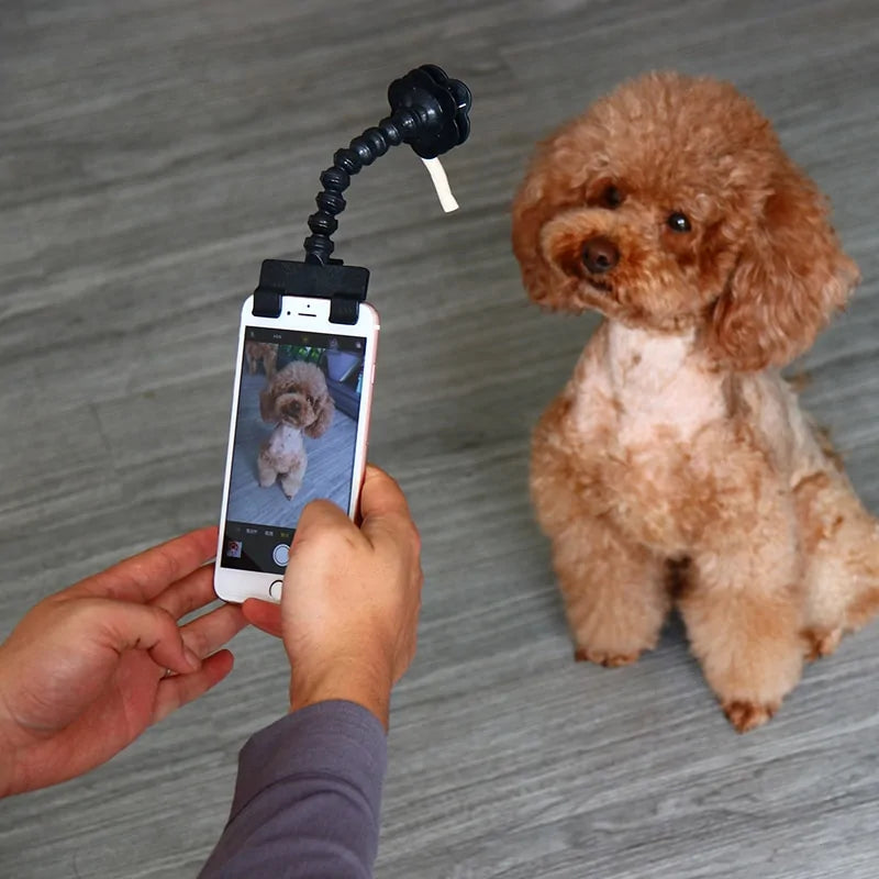 Furry Friend Selfie Stick