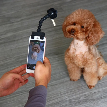 Furry Friend Selfie Stick