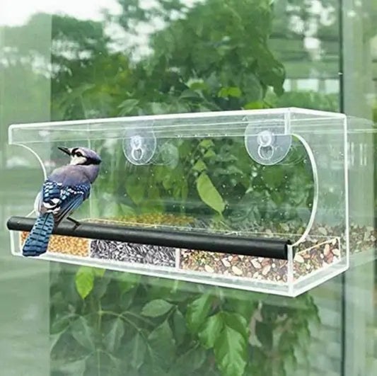 Comedero para pájaros transparente con montaje en ventana