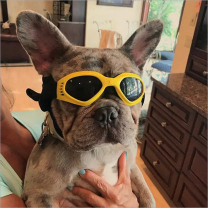 Dog Sunglasses ( Buy 2 and Get 100% Discount on the second one )