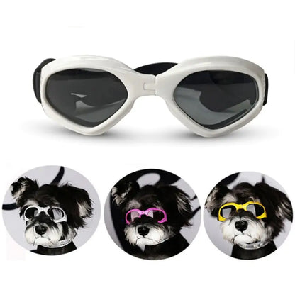 Dog Sunglasses ( Buy 2 and Get 100% Discount on the second one )