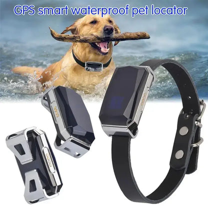 Smart Collar Waterproof Pet Locator ( Code:131)