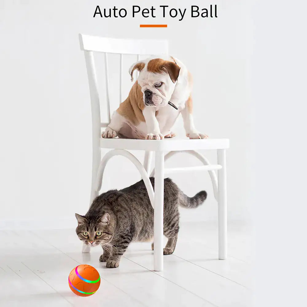 SmartPlay Interactive Pet Ball