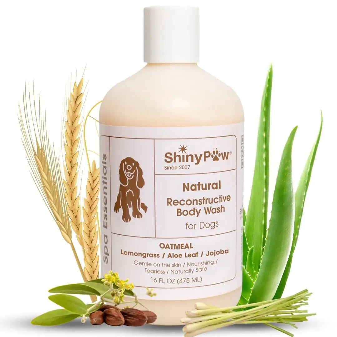 ShinyPaw Hypoallergenic Dog Shampoo | Oatmeal & Silk Protein Formula | 16 oz