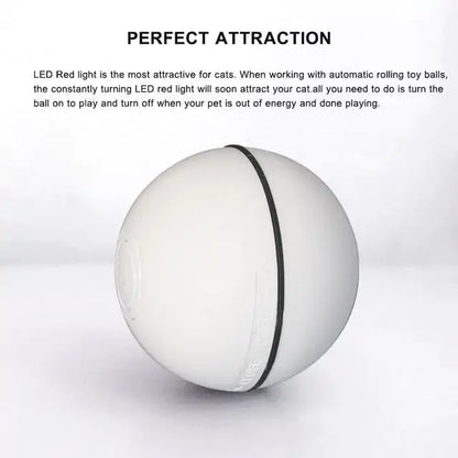 Smart Interactive Pet Ball