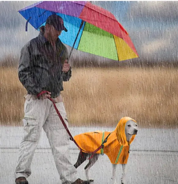 Dog Rain Coat