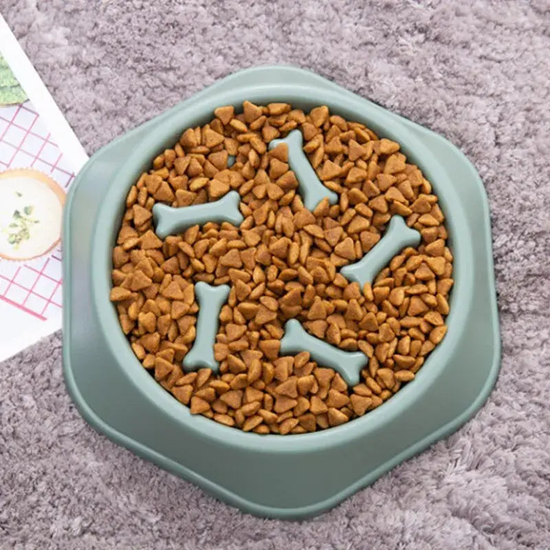 Healthy Pace Pet Bowl