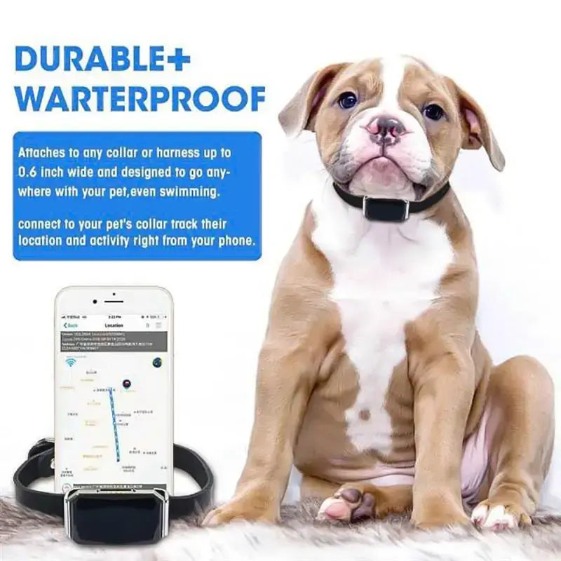 Smart Collar Waterproof Pet Locator ( Code:131)