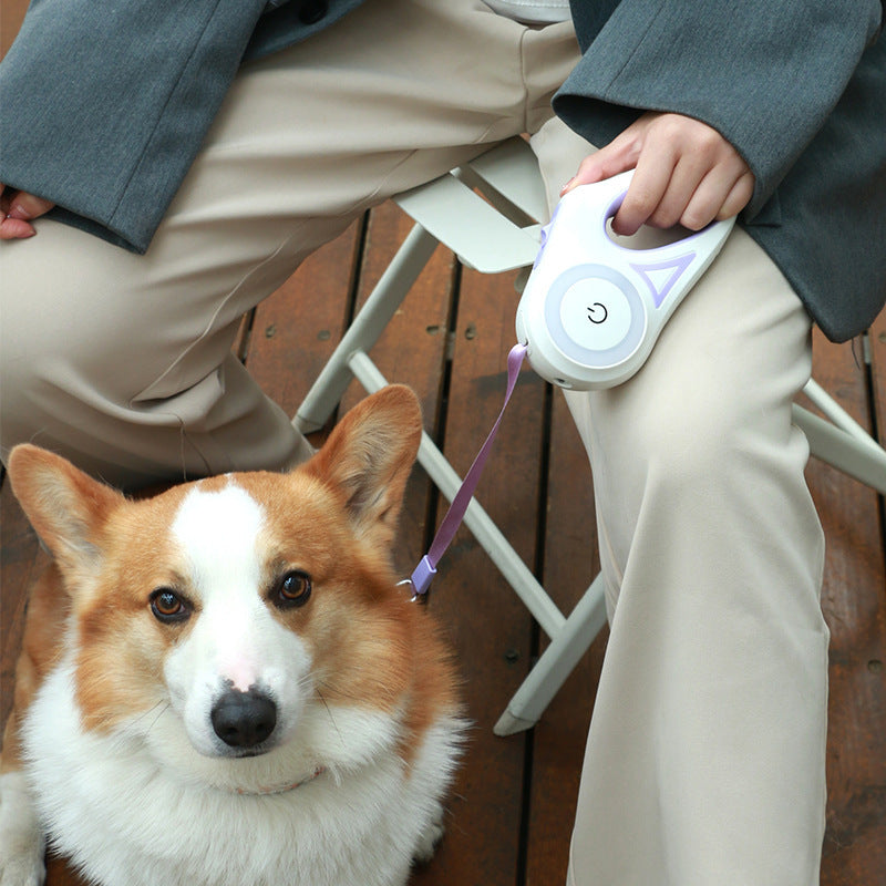 Illuminated Nighttime Dog Leash