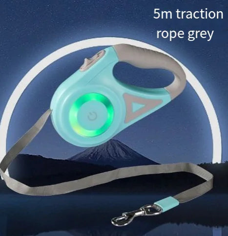 Illuminated Nighttime Dog Leash