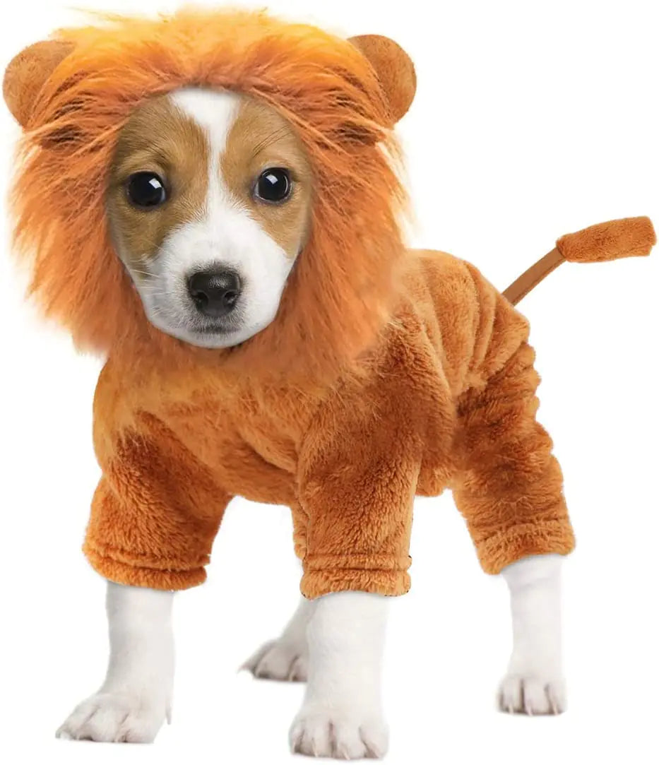 Idepet Golden Lion Mane Pet Costume