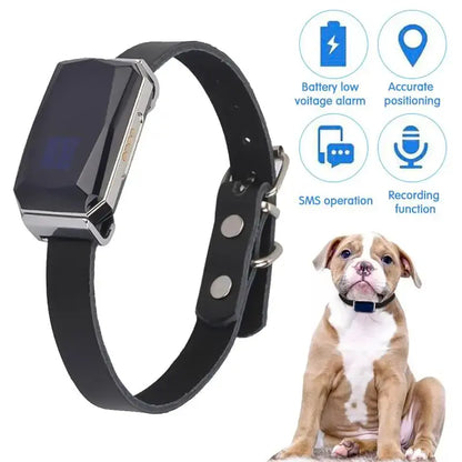 Smart Collar Waterproof Pet Locator ( Code:131)