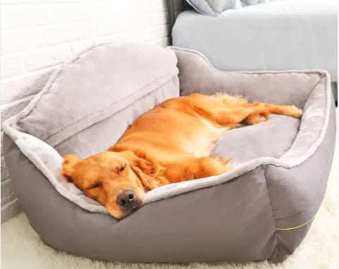 Sofá cama para perros