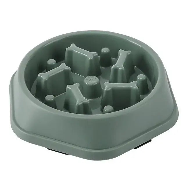 Healthy Pace Pet Bowl