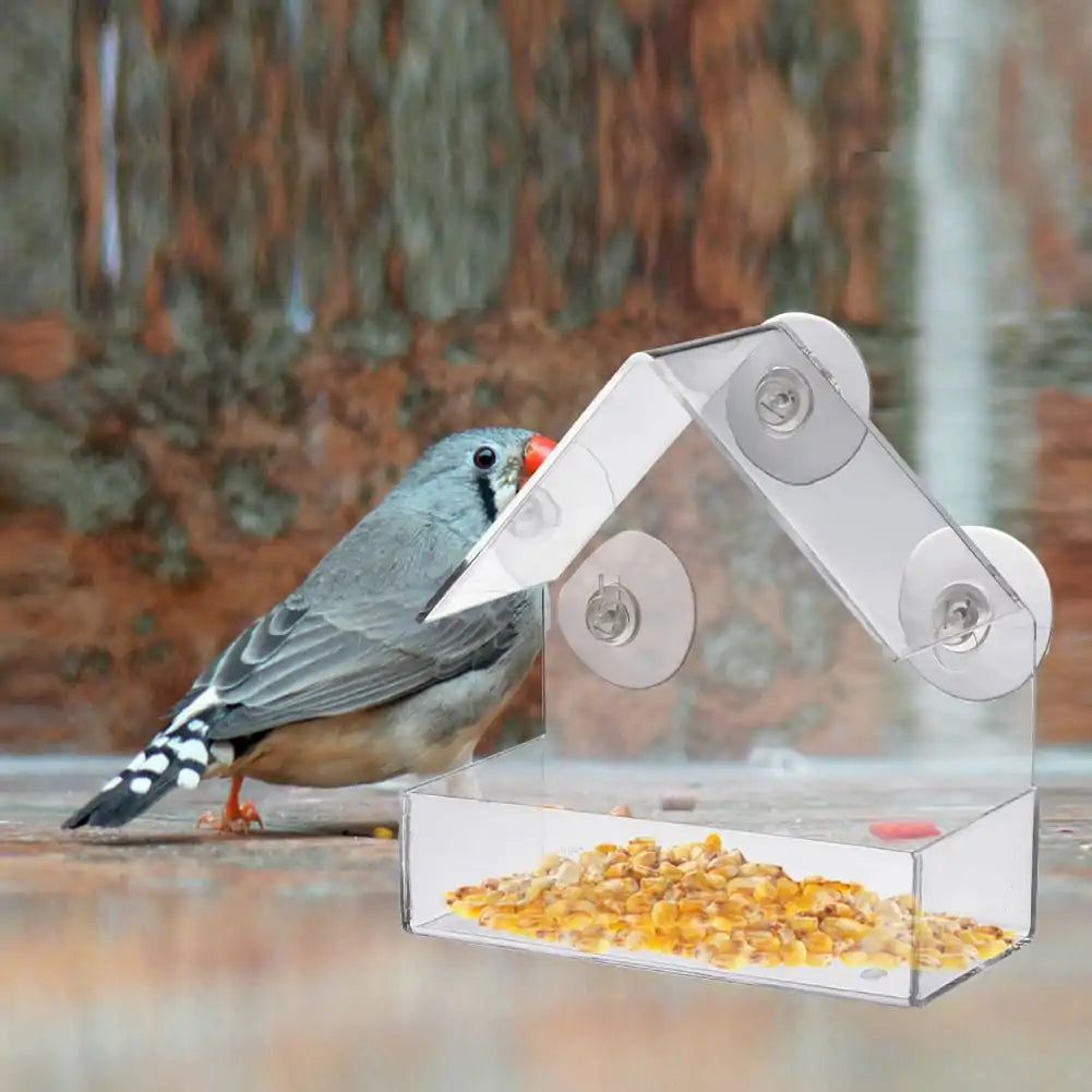 Suction Cup Bird Acrylic Feeder