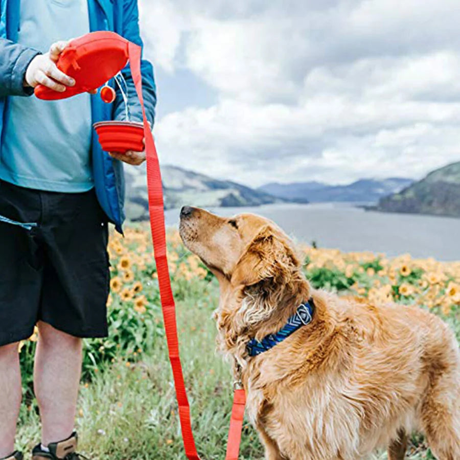 Retractable Dog Leash with built-in water dispenser and bowl