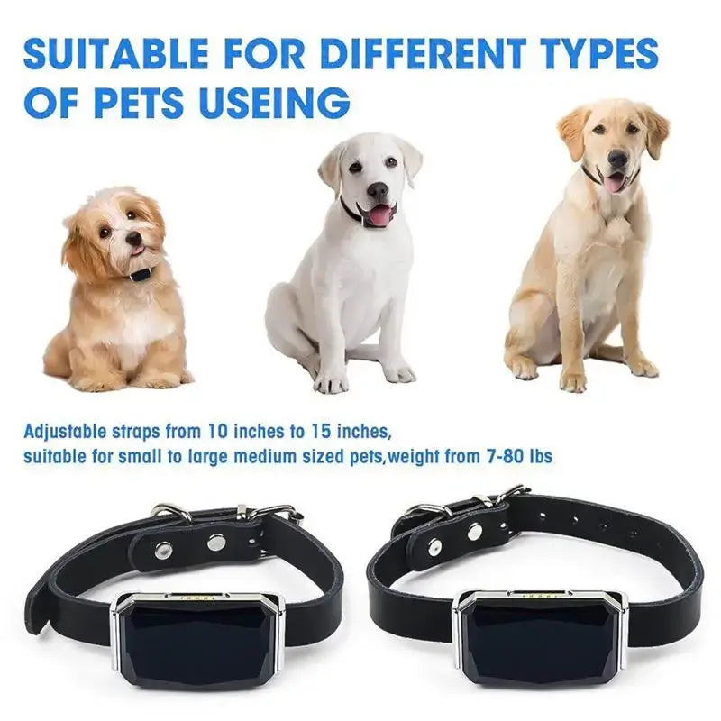 Smart Collar Waterproof Pet Locator ( Code:131)