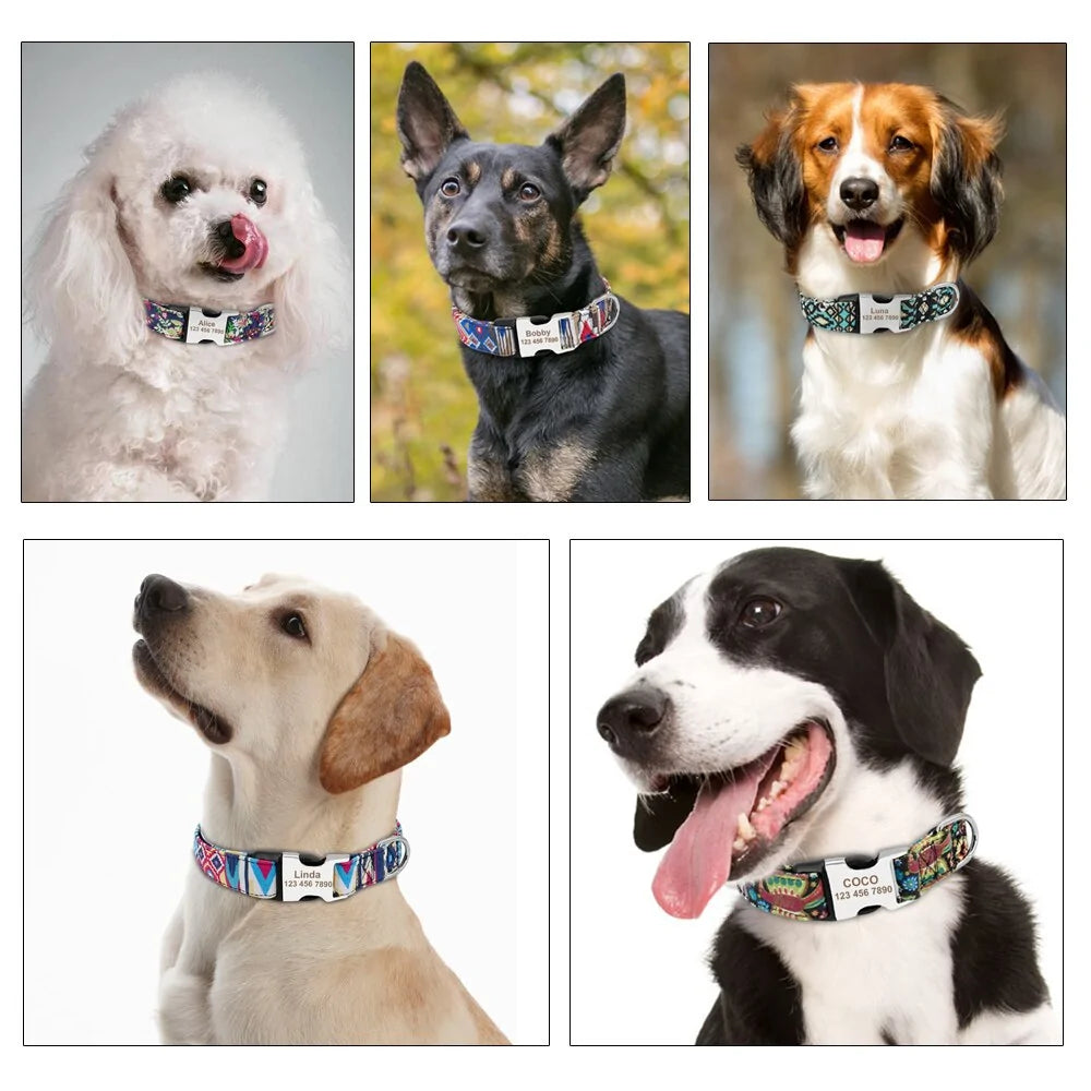 Custom ID Nylon Dog Collar