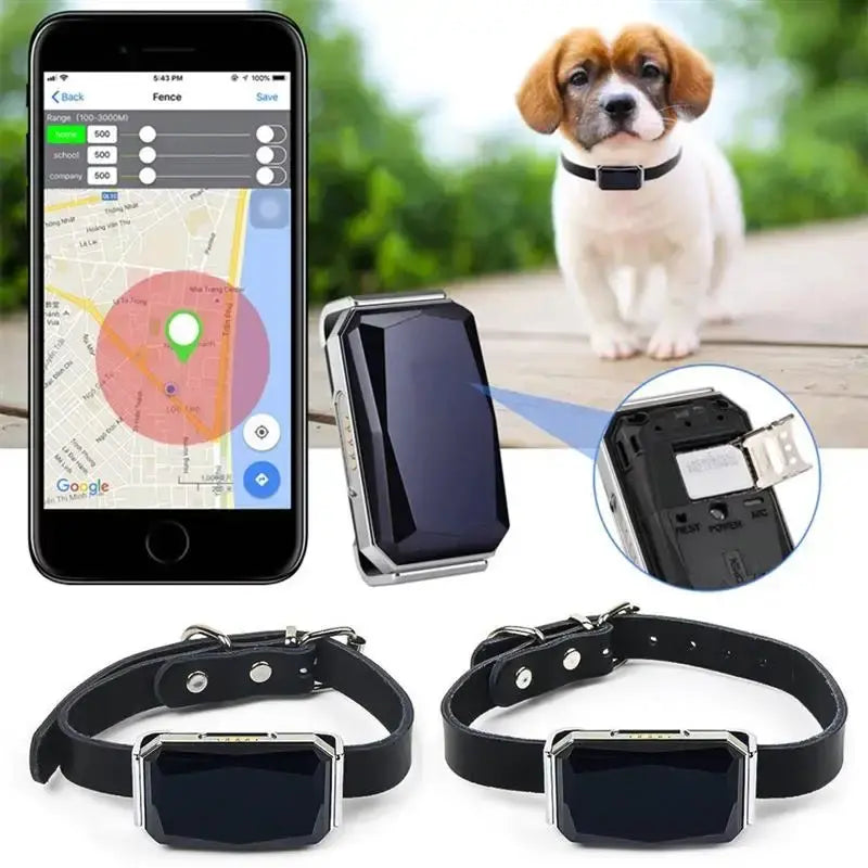 Smart Collar Waterproof Pet Locator ( Code:131)