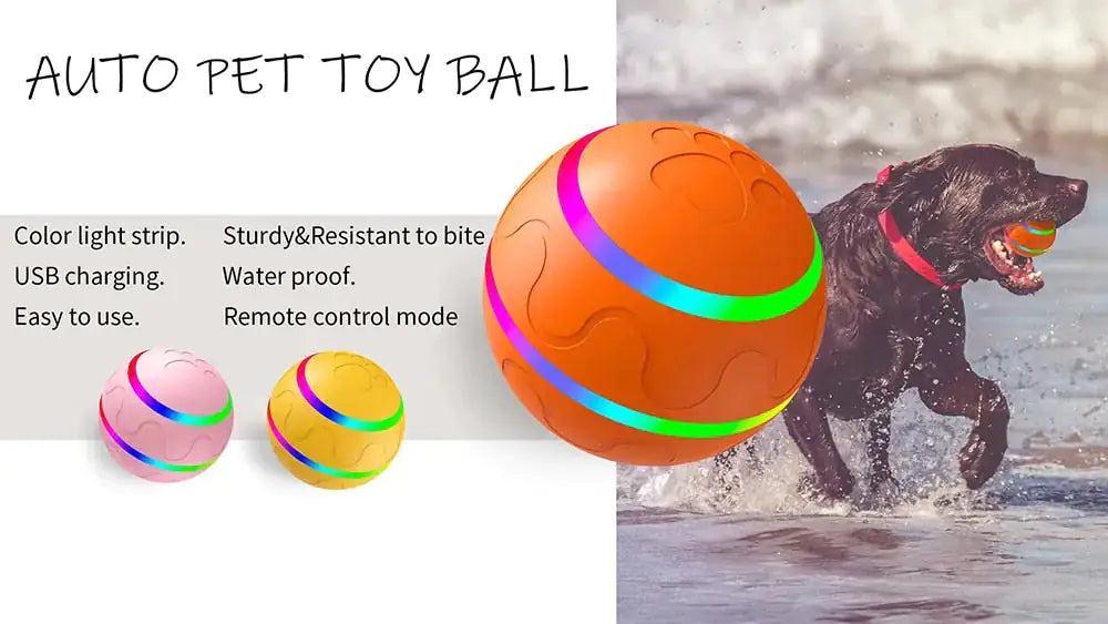 SmartPlay Interactive Pet Ball