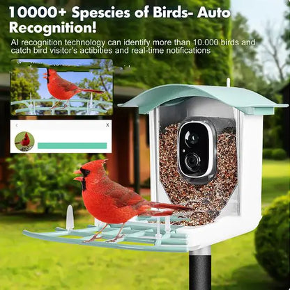 Solar-Powered Waterproof Bird Feeder with Camera